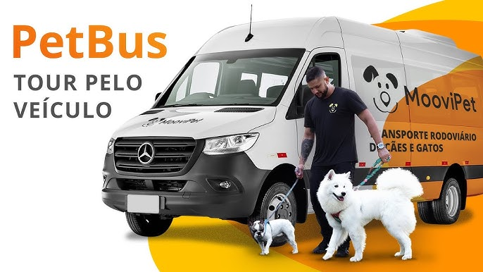 Transportador da MooviPet ao lado da van especializada com cães de diferentes portes